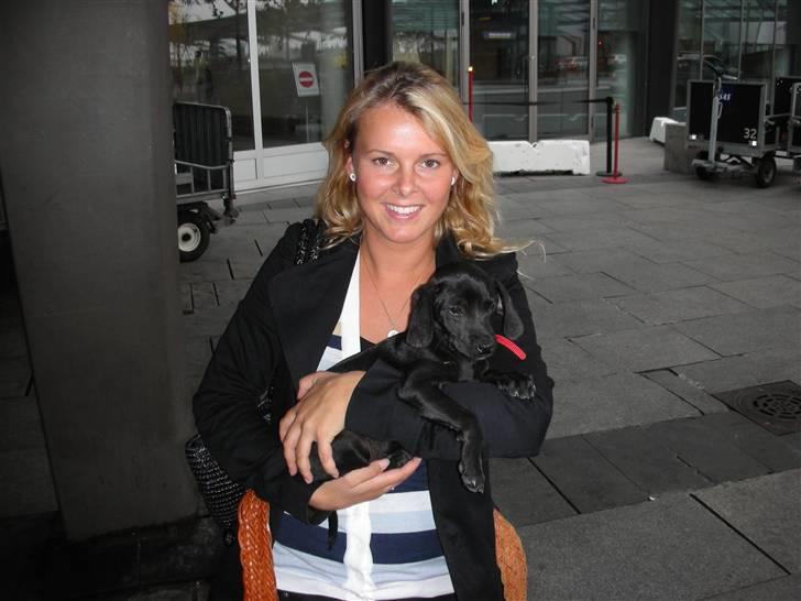 Blanding af racer Sigurd - Ude foran Kastrup lufthavn, har lige fået ham. billede 3