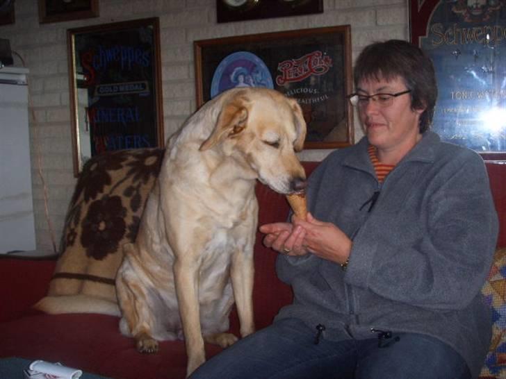 Blanding af racer Stella *RIP 25-11-10* - Mmm.. En is... billede 2