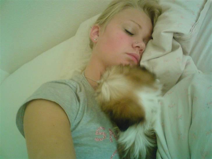 Lhasa apso Fillipa - Arh. Det er bare så hyggeligt at putte med min mor. billede 7