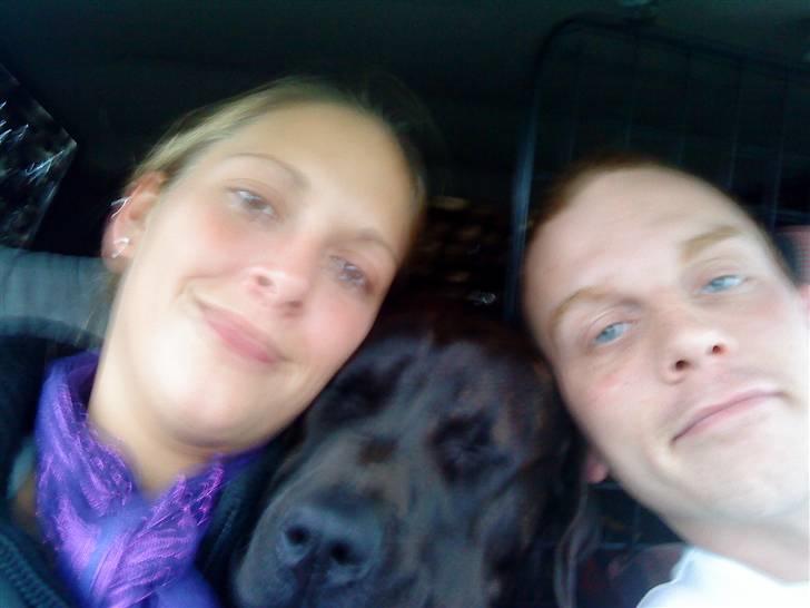 Blanding af racer Loke billede 9