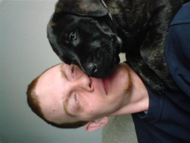 Blanding af racer Loke - elsker og hygge med min far... billede 12