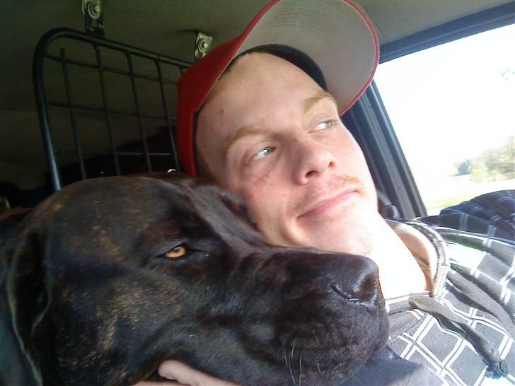 Blanding af racer Loke - nusse nusse billede 14