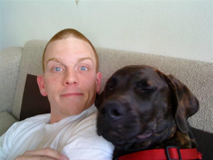 Blanding af racer Loke - hæh så søde de er...grin. billede 16