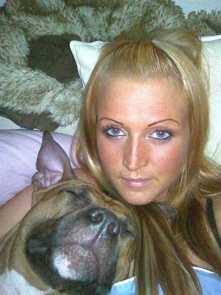 Amerikansk staffordshire terrier Amanda *Bobby sue* billede 5