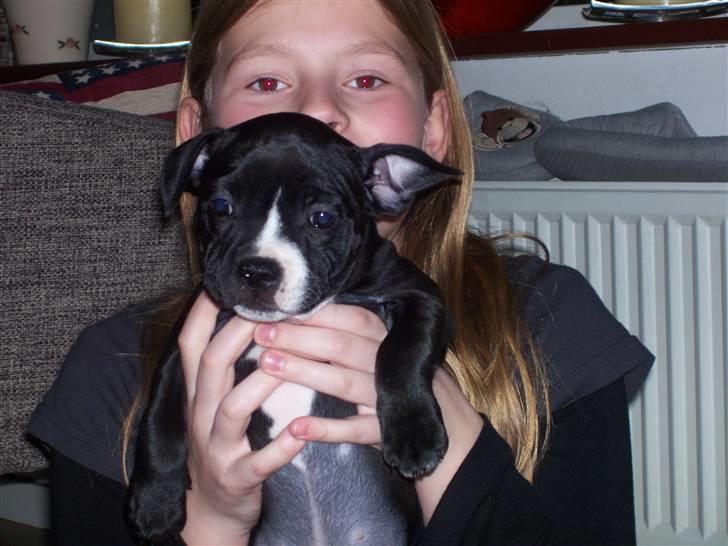 Blanding af racer ALBA - Alba og store søster (: billede 1