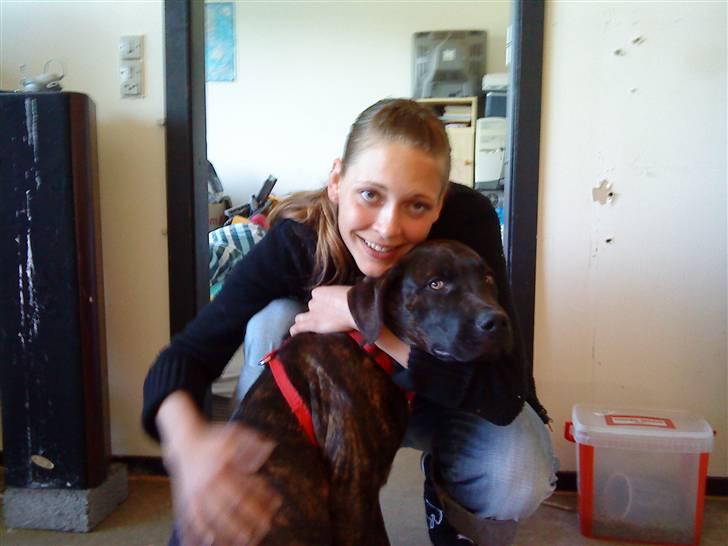 Blanding af racer Loke billede 17