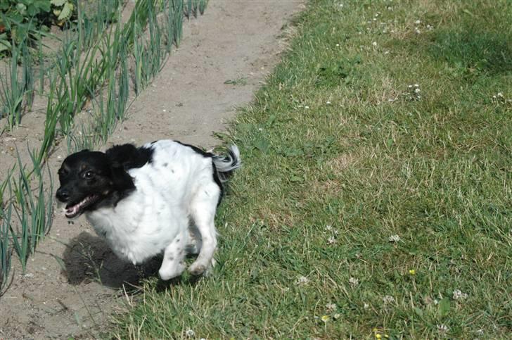 Blanding af racer Mathilde - Run for you life billede 11