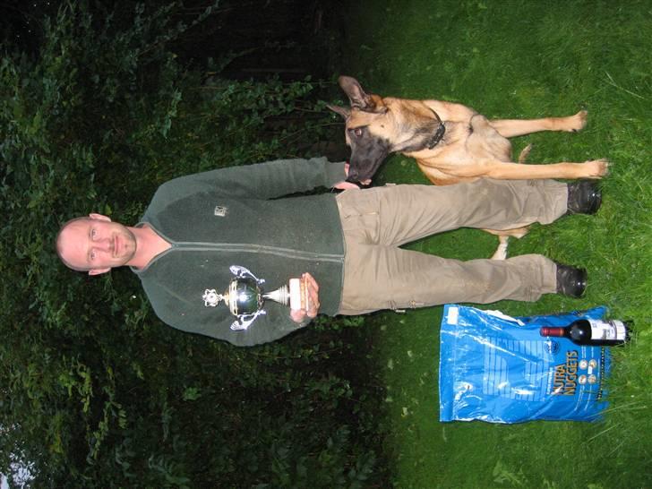 Malinois pote malin aero(fedtmule) - fra k9 prosport billede 3