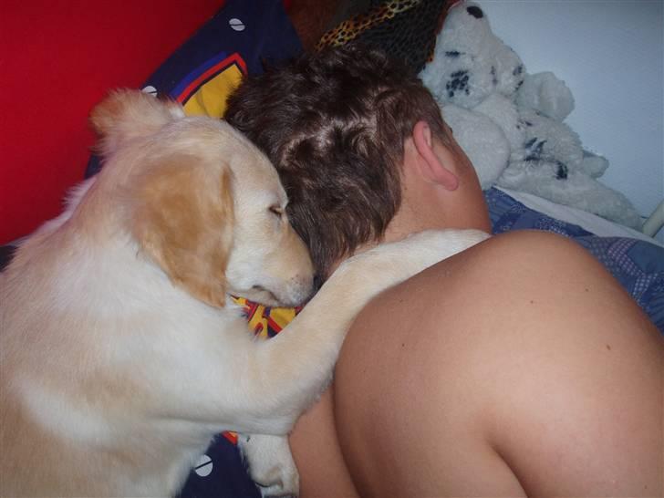 Blanding af racer Sasha - Sasha og ´Far´ putter.. billede 2