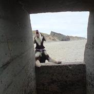 Blanding af racer Storm