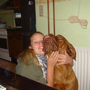 Dogue de bordeaux Rynke