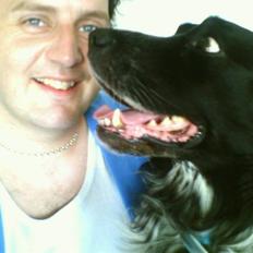 Cocker spaniel Mik HIMMELHUND