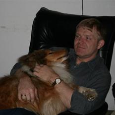 Collie langhåret Samion Sailor de Monds