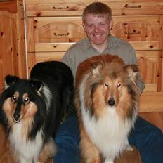 Collie langhåret Samion Sailor de Monds