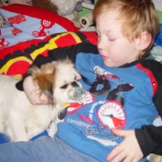 Blanding af racer bobo