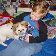 Blanding af racer bobo