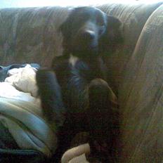 Blanding af racer Happy 