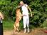 Labrador retriever Mailck