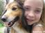 Shetland sheepdog mikkel  (DØD)