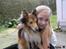 Shetland sheepdog mikkel  (DØD)