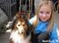 Shetland sheepdog mikkel  (DØD)