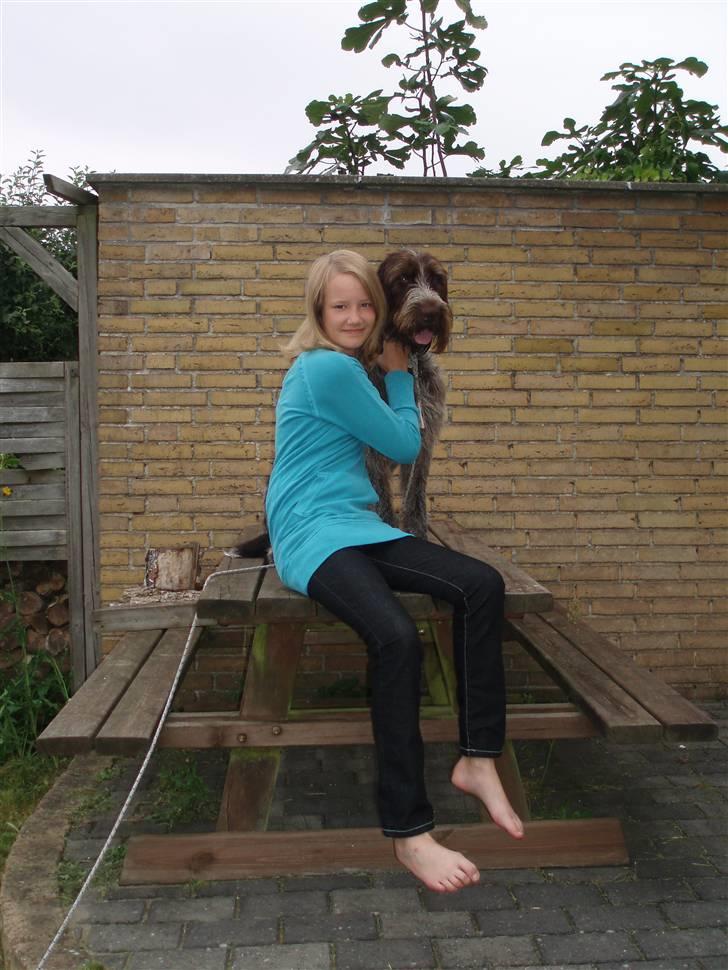 Ruhåret hønsehund Paw - Paw og jeg en eftermiddag 2007 :-) billede 6