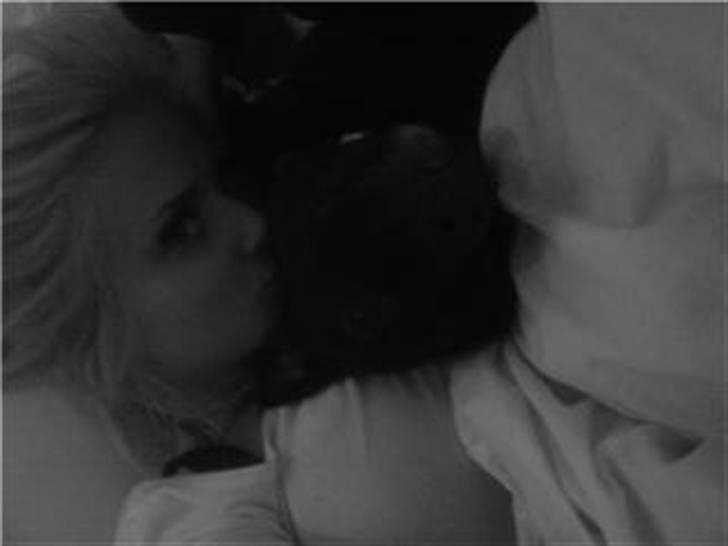 Staffordshire bull terrier Muttley billede 18