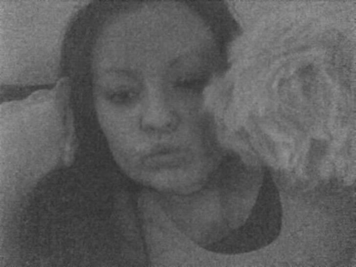 Malteser Gizmo billede 11