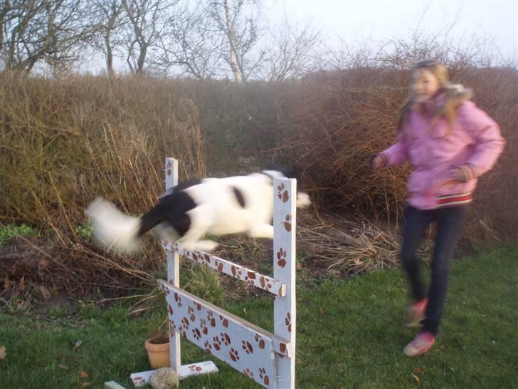 Blanding af racer Zita <3 :D - et sidste spring xD  billede 19