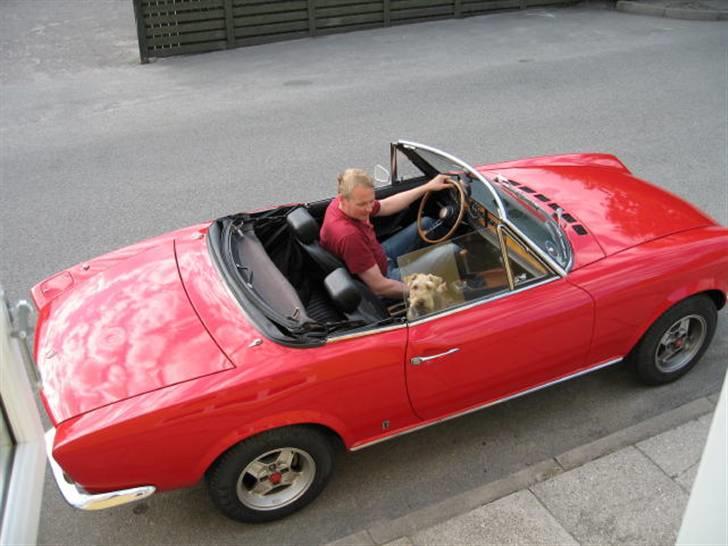 Welsh terrier Bob - Kører meget med i bil, oog er glad for det. Nu mangler jeg bare at finde ud af, hvordan jeg kan have ham med på mc. billede 3