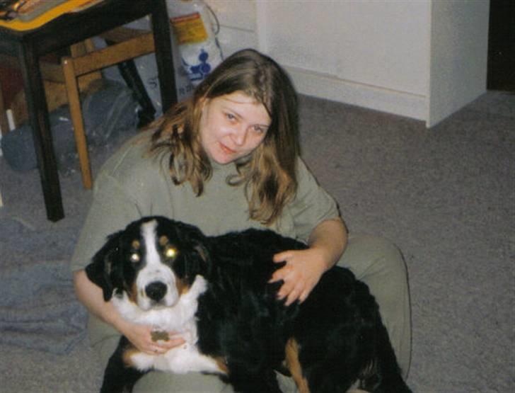 Berner sennenhund Aisa billede 5