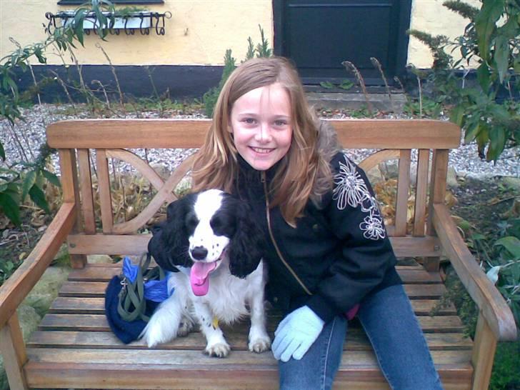 Blanding af racer Panda <'33 billede 13