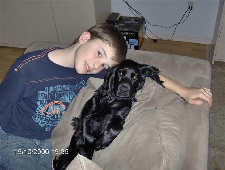 Cocker spaniel Blackie - blackie og min mands nevø daniel billede 4
