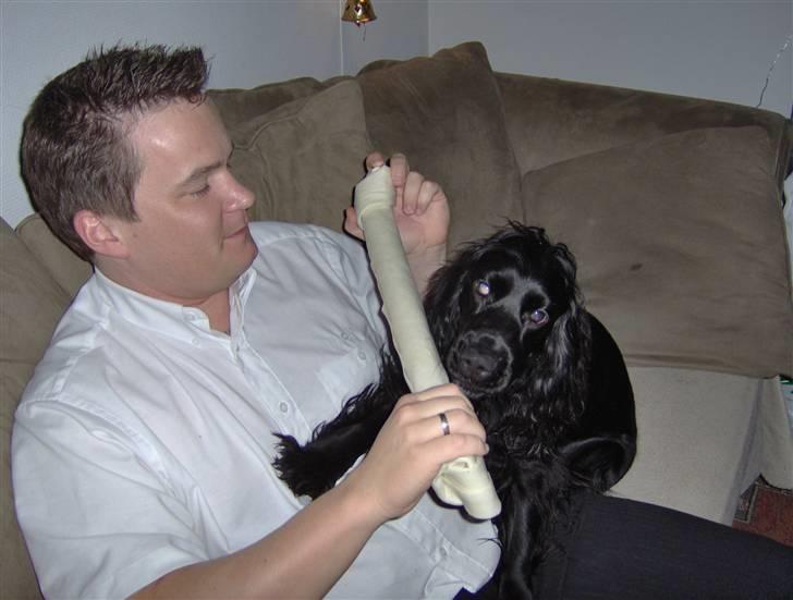 Cocker spaniel Blackie - Blackie og farmand billede 9