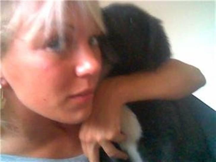 Blanding af racer Pelle billede 16