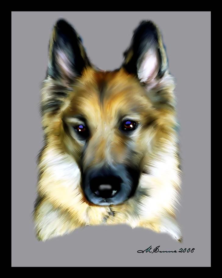 Schæferhund Tenna *RIP 2001* - Lavet af Marianne.. 1000 tak søde ! billede 16