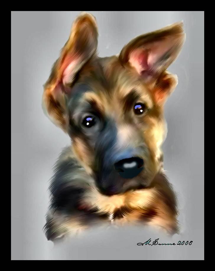 Schæferhund Kayser 30/4 05 - 16/1 06 - Lavet af Marianne.. 1000 tak søde ! billede 14