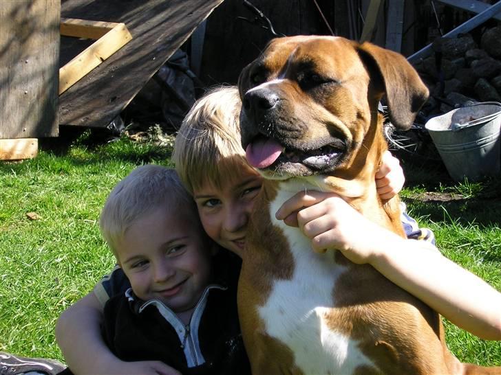 Blanding af racer Janet - gruppefoto med mine mennesker rasmus og flemming. billede 6