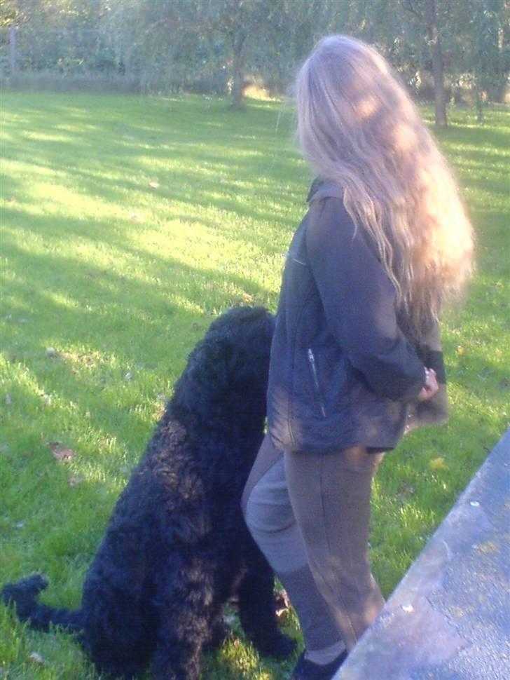 Sort russisk terrier Romanov - Død - Min bedste ven. <3 billede 2