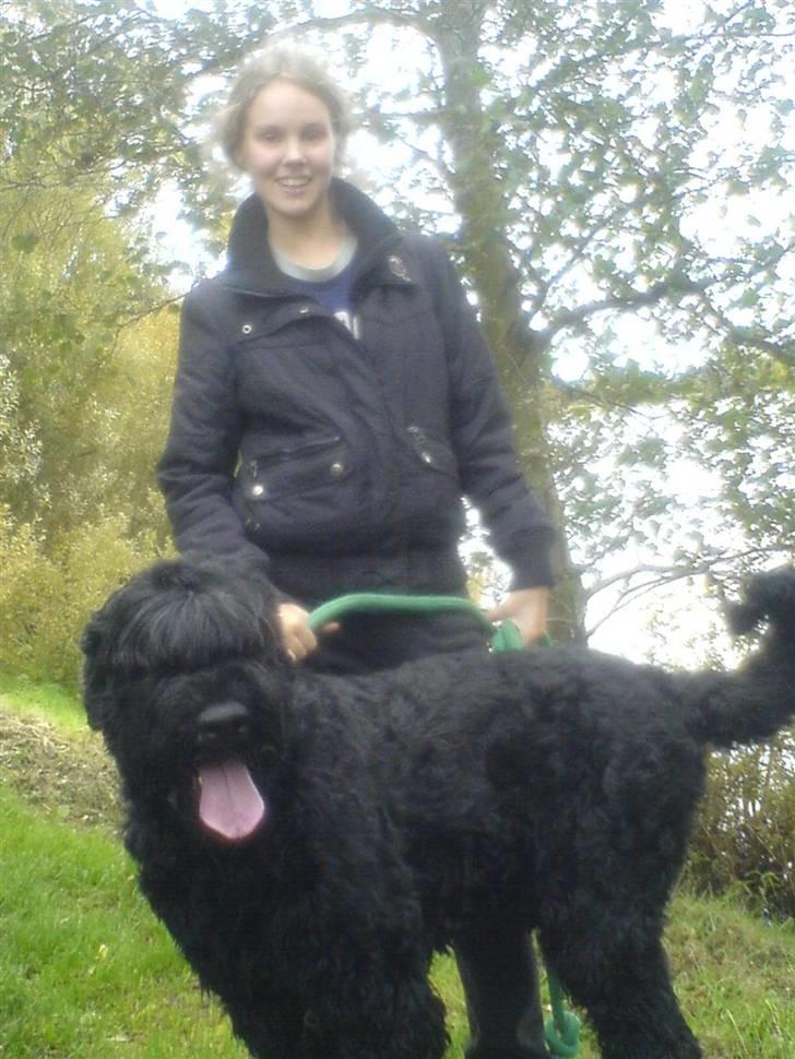 Sort russisk terrier Romanov - Død - Min bedste ven. <3 billede 3