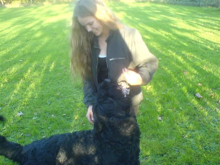 Sort russisk terrier Romanov - Død - Min bedste ven. <3 billede 4