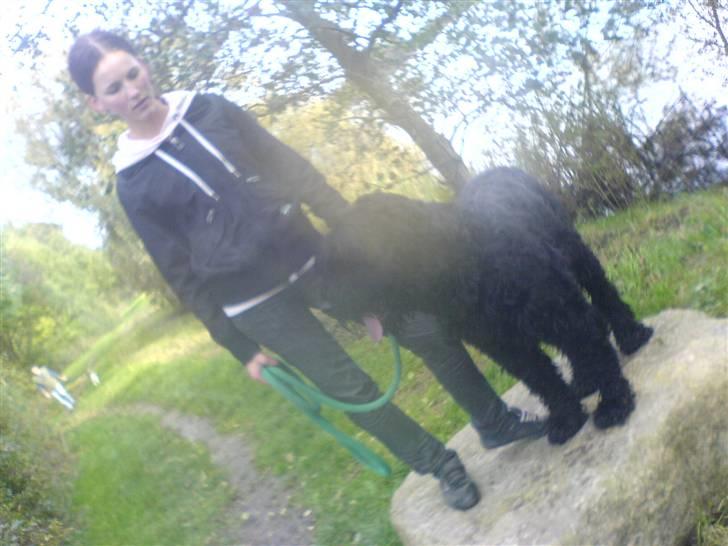 Sort russisk terrier Romanov - Død - Min bedste ven og mig. <3
Gammelt billede. billede 5