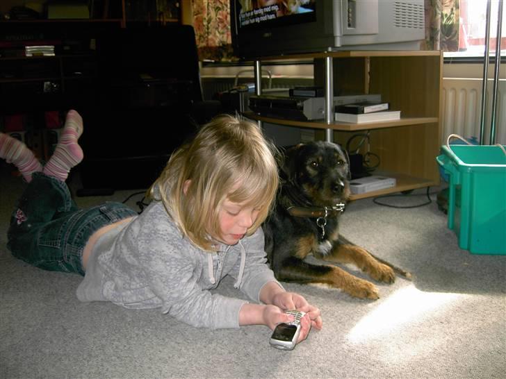 Blanding af racer King - Jose og King hygger billede 16