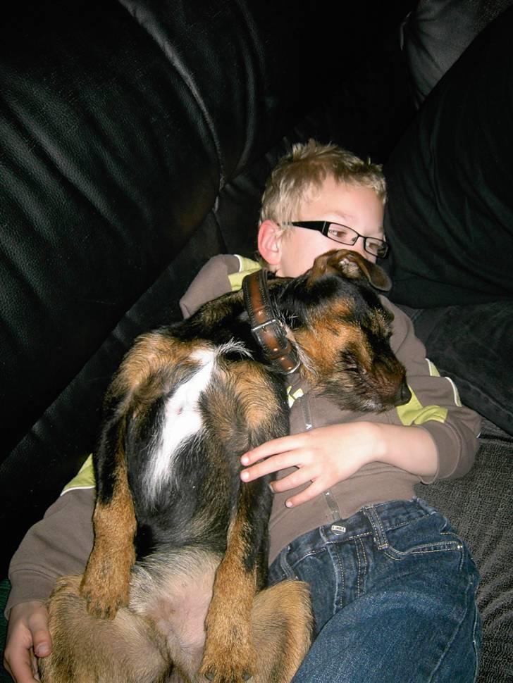 Blanding af racer King - Undskyld.. Jeg blev altså lige lidt træt.. billede 18