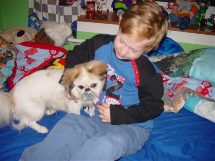 Blanding af racer bobo billede 3