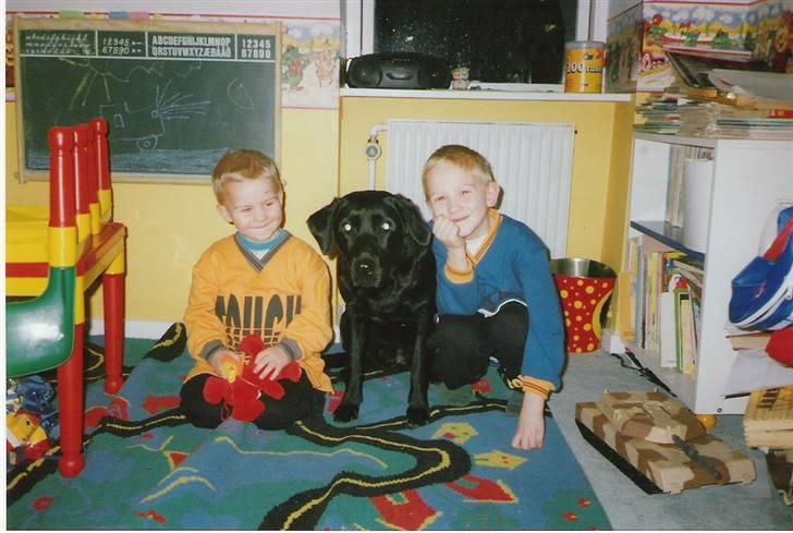 Labrador retriever Dina - Morten og Flemming sammen med Dina som er ca. 5 mdr. på det tidspunkt.  billede 18