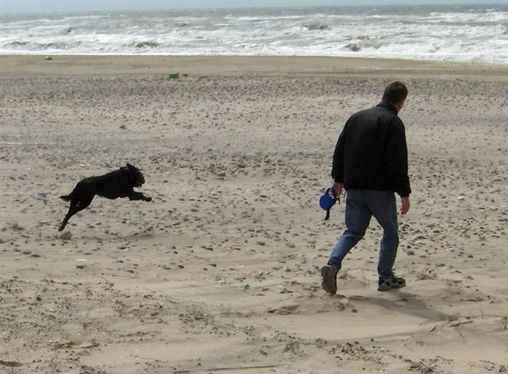 Blanding af racer Samson - Hvem mon kommer først ? billede 7