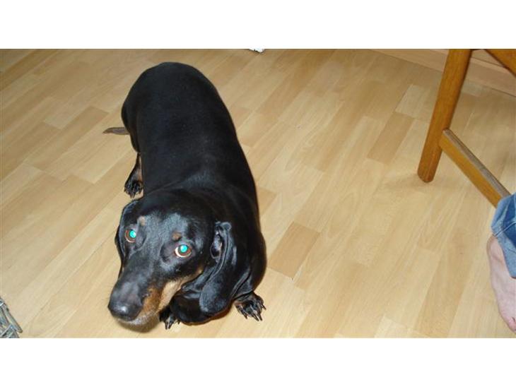 {{currentPhoto.altText}} billede {{currentPhoto.number}}