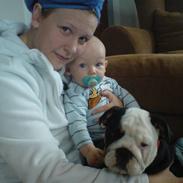 Engelsk bulldog R.I.P Berta <3