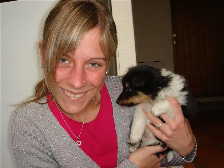 Shetland sheepdog Lucca - Lucca og jeg den. 2.3.08. Ca 5 uger. billede 4